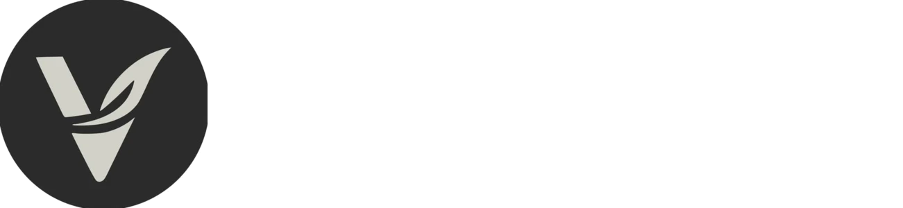 The Vine Church